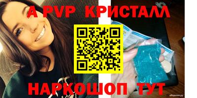 шишки Кимры