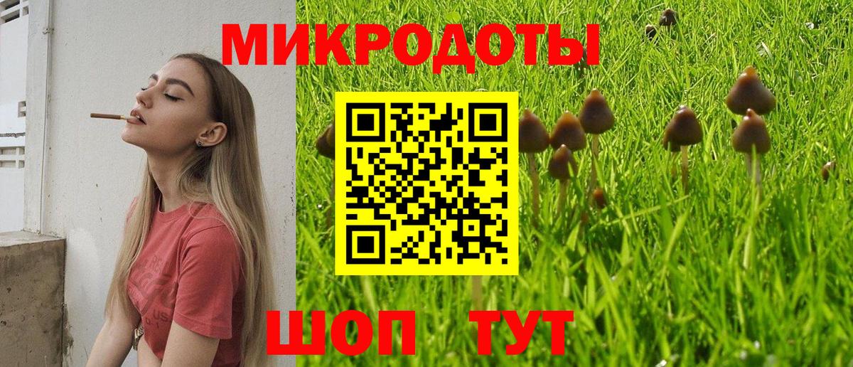 Псилоцибиновые грибы мухоморы Карабулак